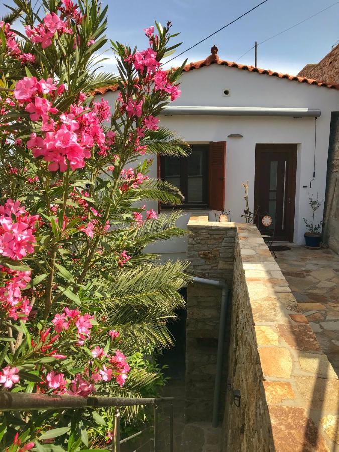 Astra-Ferienhaus Mit Grosser Dachterrasse Und Top-Ausstattung In Nas Armenistis  Exterior foto